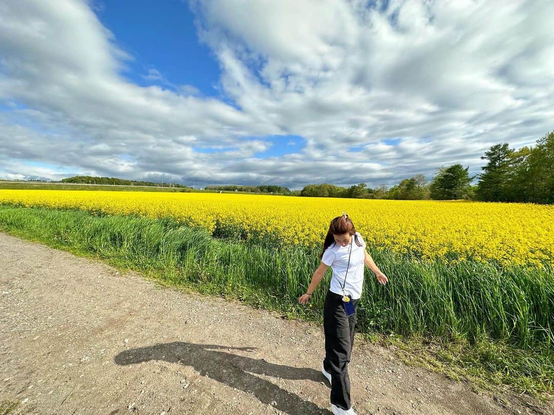 加賀其真美のインスタグラム：「※加工なし やばすぎるこの景色💛🌼💛🌼💛 ． ． ． #北海道」