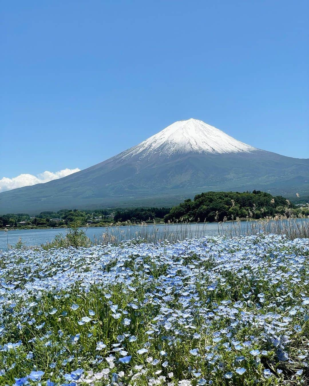 遥羽ららさんのインスタグラム写真 - (遥羽ららInstagram)「.  富士山とツーショット撮りたかったのに… 立ち位置…富士山が…🥹 何やってるんだか…🤣  #🗻 #富士山 #ハナテラス #ピザ」5月26日 17時19分 - rara_haruha