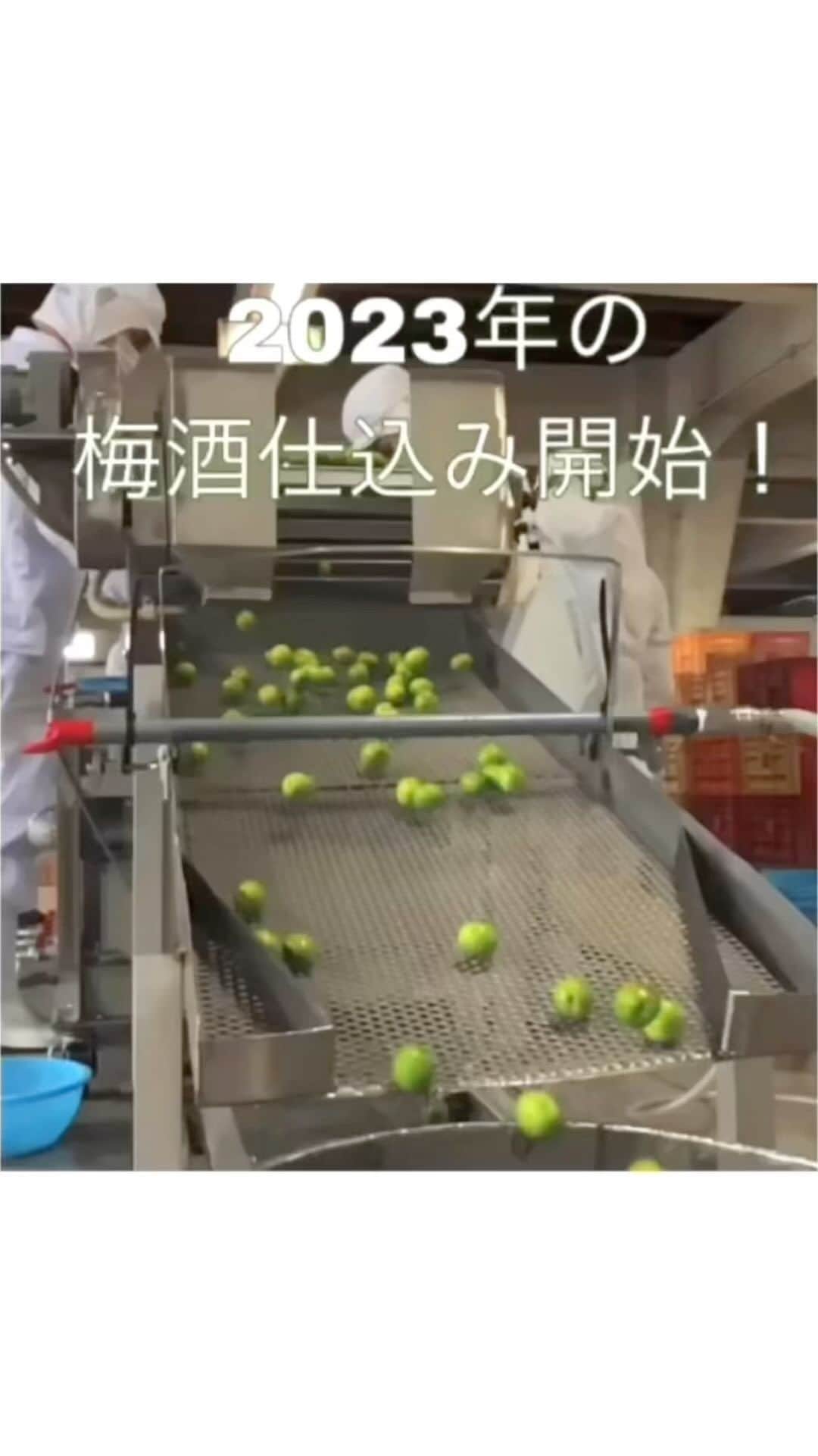白鶴酒造株式会社のインスタグラム