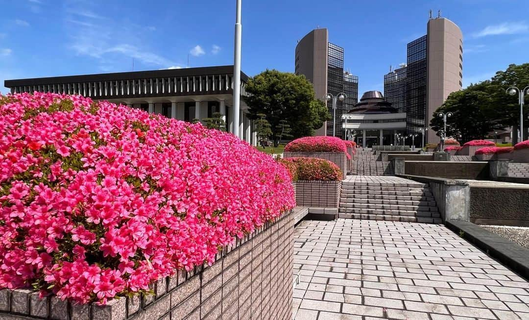 日本工学院さんのインスタグラム写真 - (日本工学院Instagram)「様々なテレビや映画のロケ地としても使われる本校。 八王子キャンパスではこの時期になるとツツジが満開となり、キャンパスに華を添えています。  #日本工学院」5月26日 17時35分 - nihonkogakuin