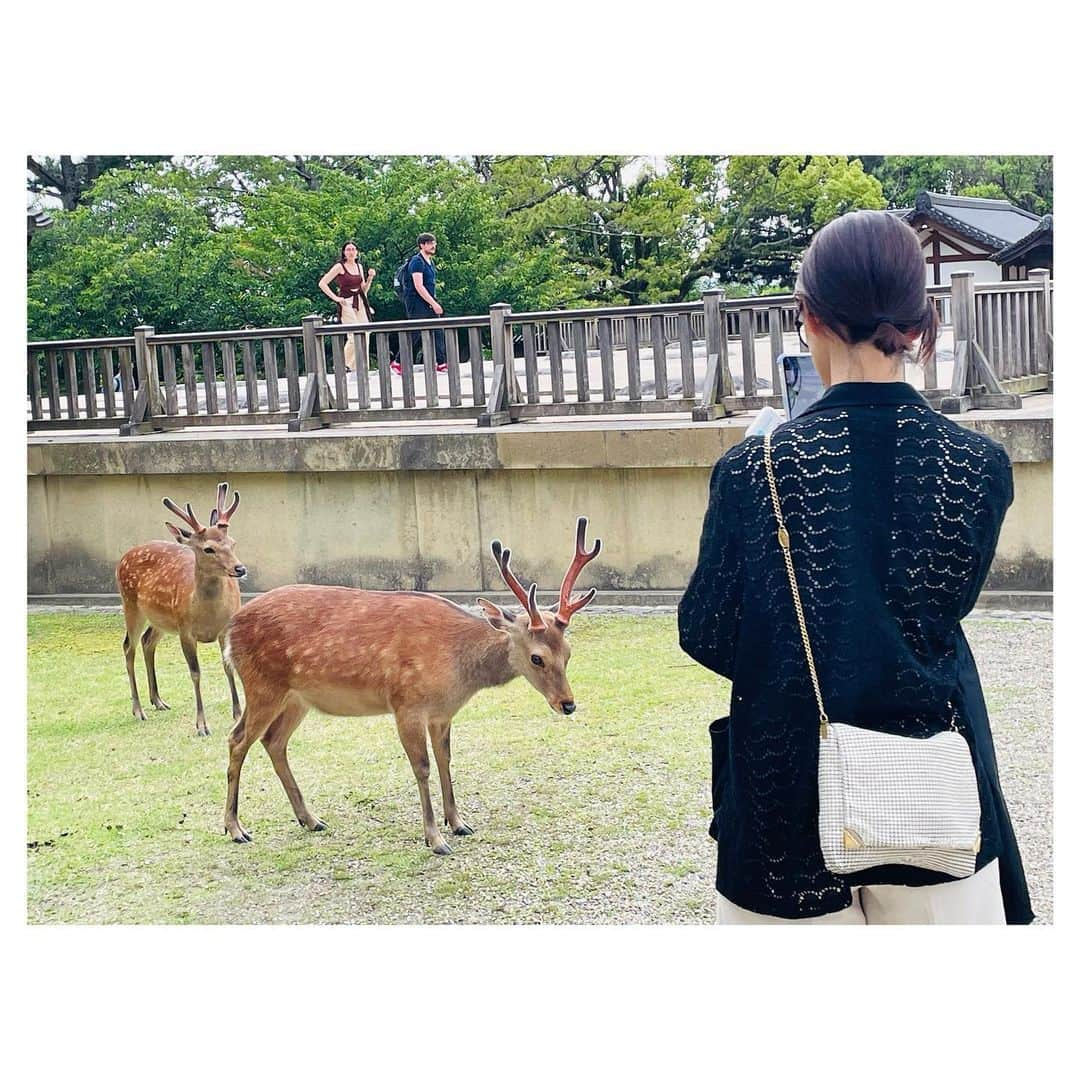 今泉マヤのインスタグラム