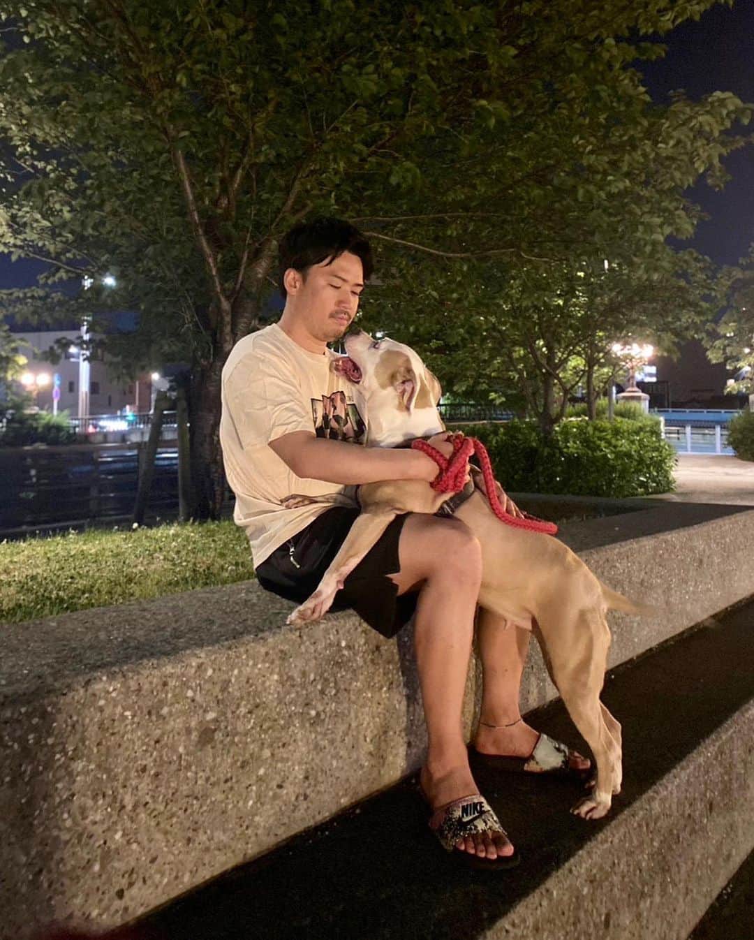 伊地知大樹のインスタグラム：「. 娘のさくらと深夜に4時間もデートしちゃった😍 . #アメリカンピットブルテリア  #さくら #足が棒になった日」