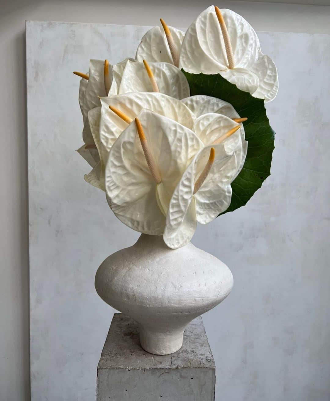 The Cool Hunterさんのインスタグラム写真 - (The Cool HunterInstagram)「White on white by French art dealer turned florist @castorfleuriste #swipeleft」5月27日 4時33分 - thecoolhunter_