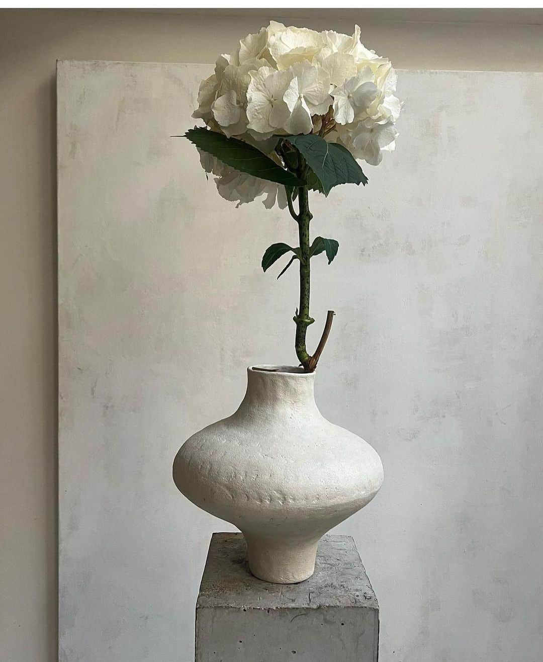 The Cool Hunterさんのインスタグラム写真 - (The Cool HunterInstagram)「White on white by French art dealer turned florist @castorfleuriste #swipeleft」5月27日 4時33分 - thecoolhunter_