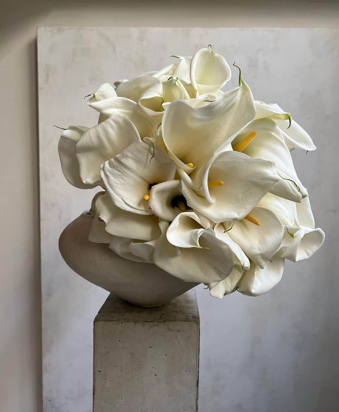 The Cool Hunterさんのインスタグラム写真 - (The Cool HunterInstagram)「White on white by French art dealer turned florist @castorfleuriste #swipeleft」5月27日 4時33分 - thecoolhunter_