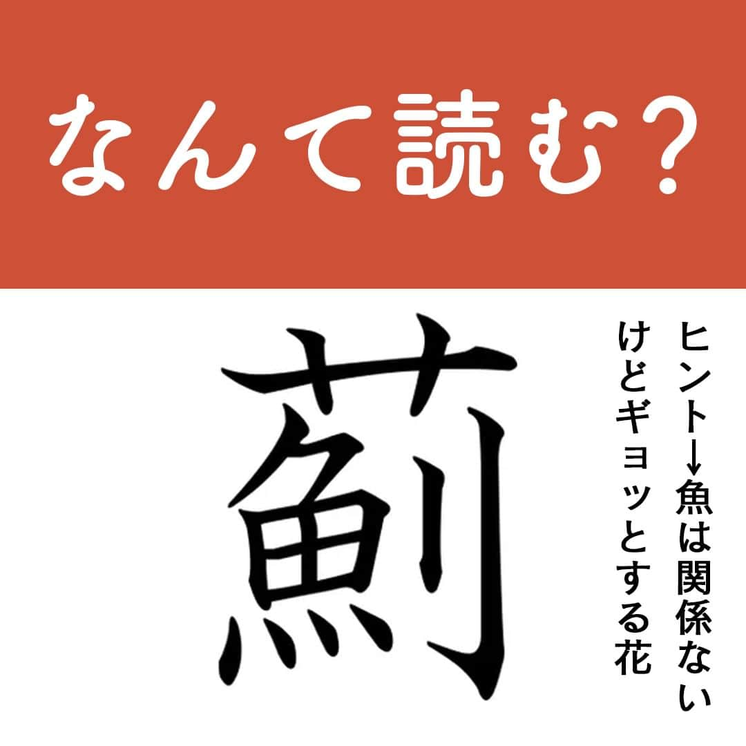 サンキュ！編集部のインスタグラム