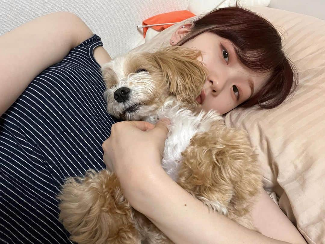 MAYU EMPiREのインスタグラム：「横になってたらもたれかかってきた犬  いのちあたたか」