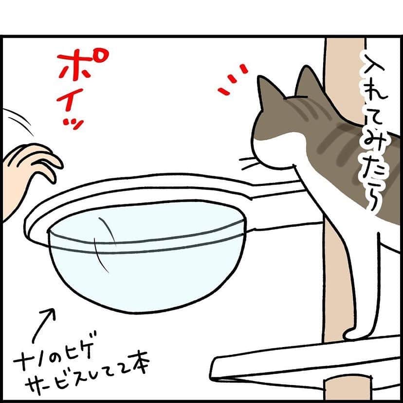 猫壱（ねこいち•ネコイチ）さんのインスタグラム写真 - (猫壱（ねこいち•ネコイチ）Instagram)「ぜひ、試してみてほしい🥺  お髭を入れるのは、らたママさん　@ratanyannomam のアイデアでした🎵  ▫ ▫  :::::::::猫壱 :::::::  猫壱は\…猫が幸せ、私も幸せ…/をモットーに猫グッズの開発に取り組んでいます♪ ▫ 気になる方は @necoichicojp をチェックしてみてくださいね！ ▫ ▫ 【Special thank-you @86palpal 💕💕💕💕】  Reproduction is  prohibited.  ...........................................................................  #ナノトクラス #猫あるある #猫漫画 #ネコマンガ  #猫まんが  #ねこまんが #キジシロ #黒猫 #猫と暮らす  #ねこあるある  ...........................................................................」5月26日 20時09分 - necoichicojp