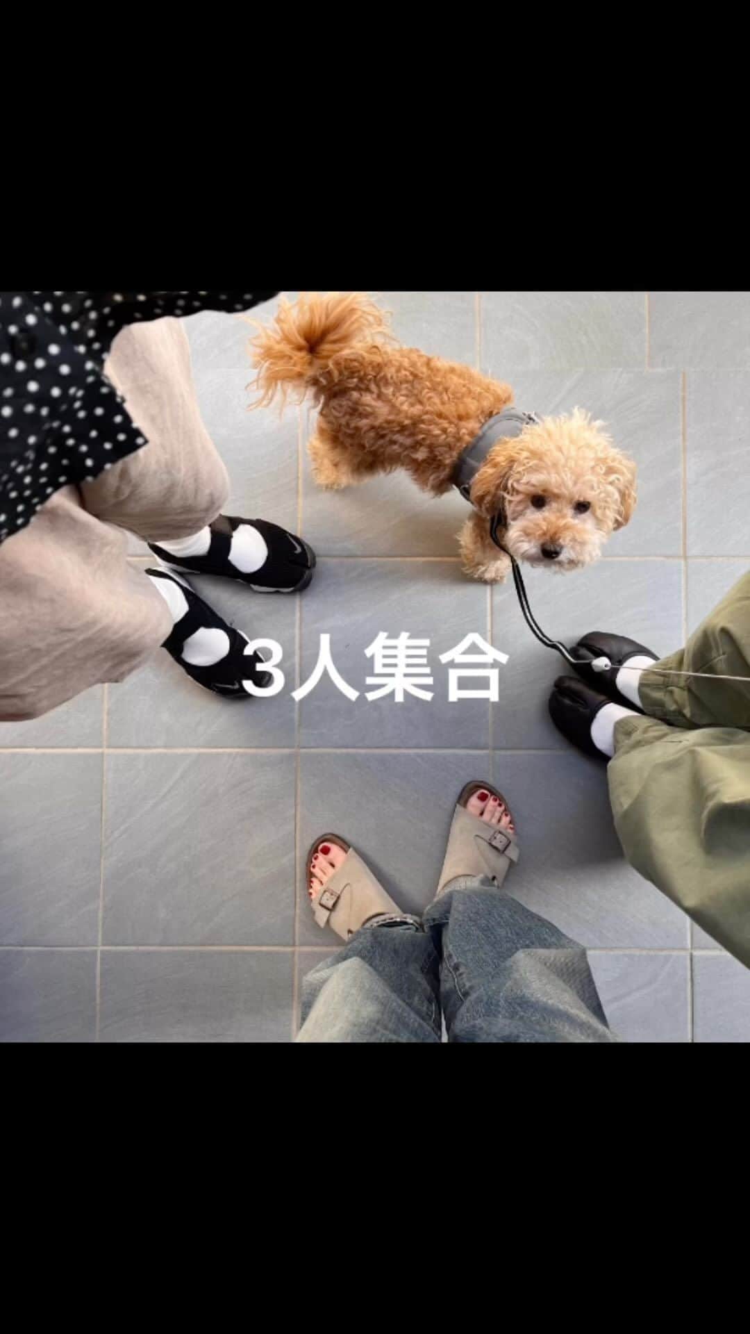 こはるのインスタグラム