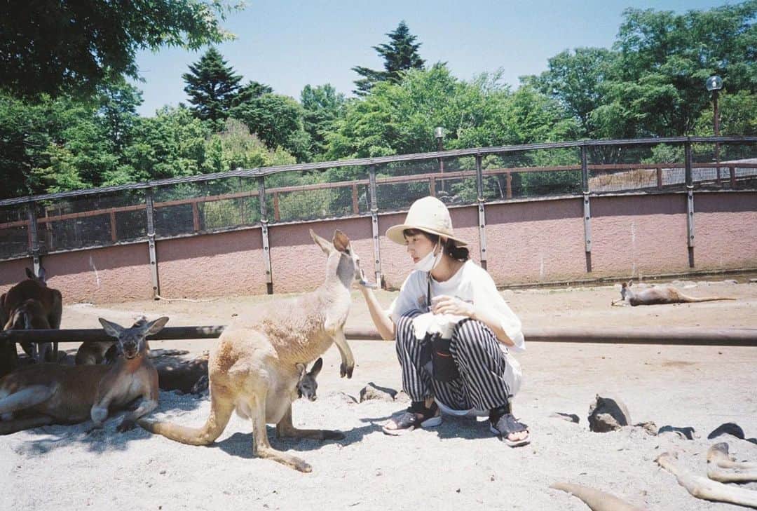 仁村紗和のインスタグラム：「🦘有袋類好き🦘」
