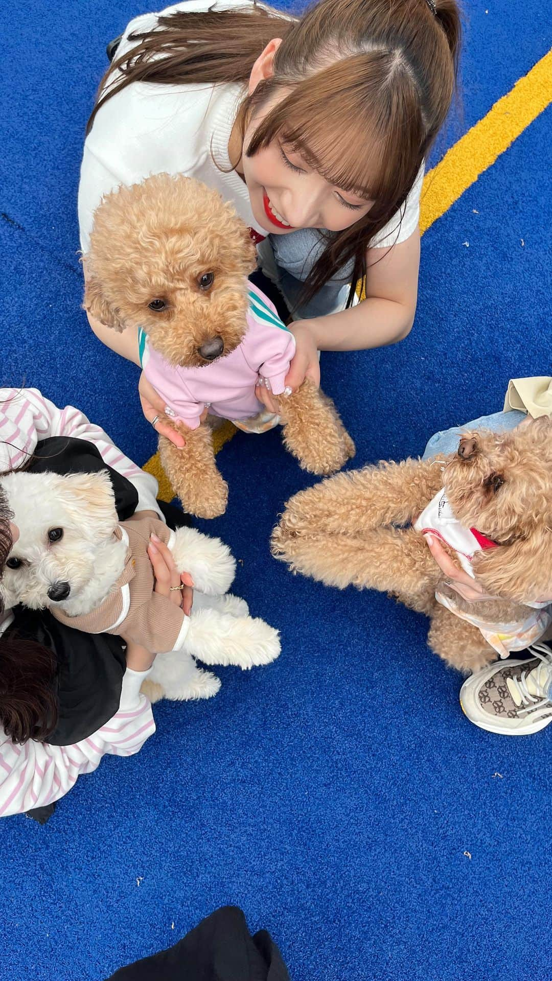 坂本りののインスタグラム：「おにごっこしてた🐶」