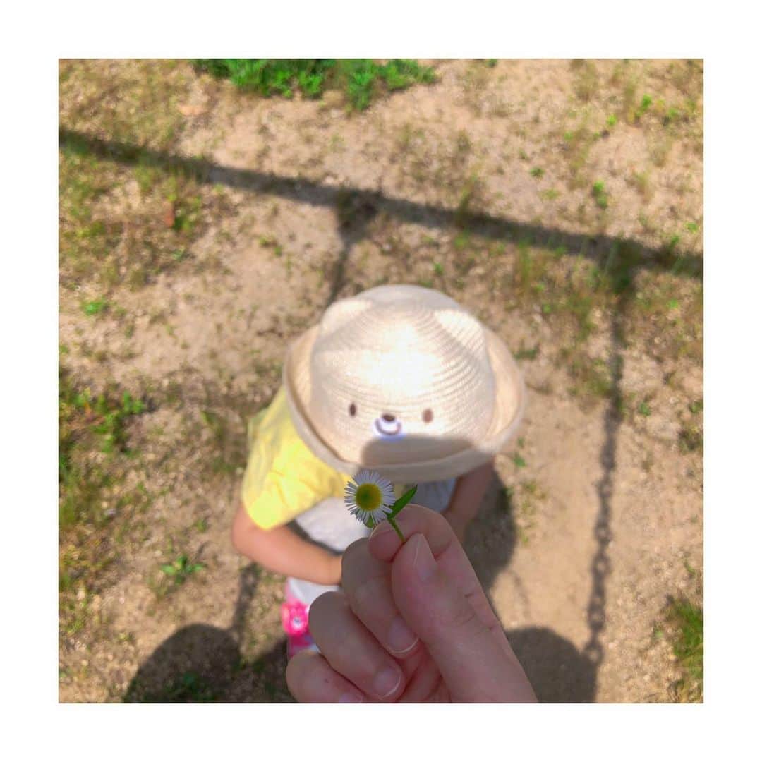 川添りなのインスタグラム：「娘がくれた小さなお花。 毎日とても可愛い事してくれる🩷ドライヤーしてたらクシを持ってママの髪をとかしてくれたり。。😌ほんとに可愛い。  #娘とデート」