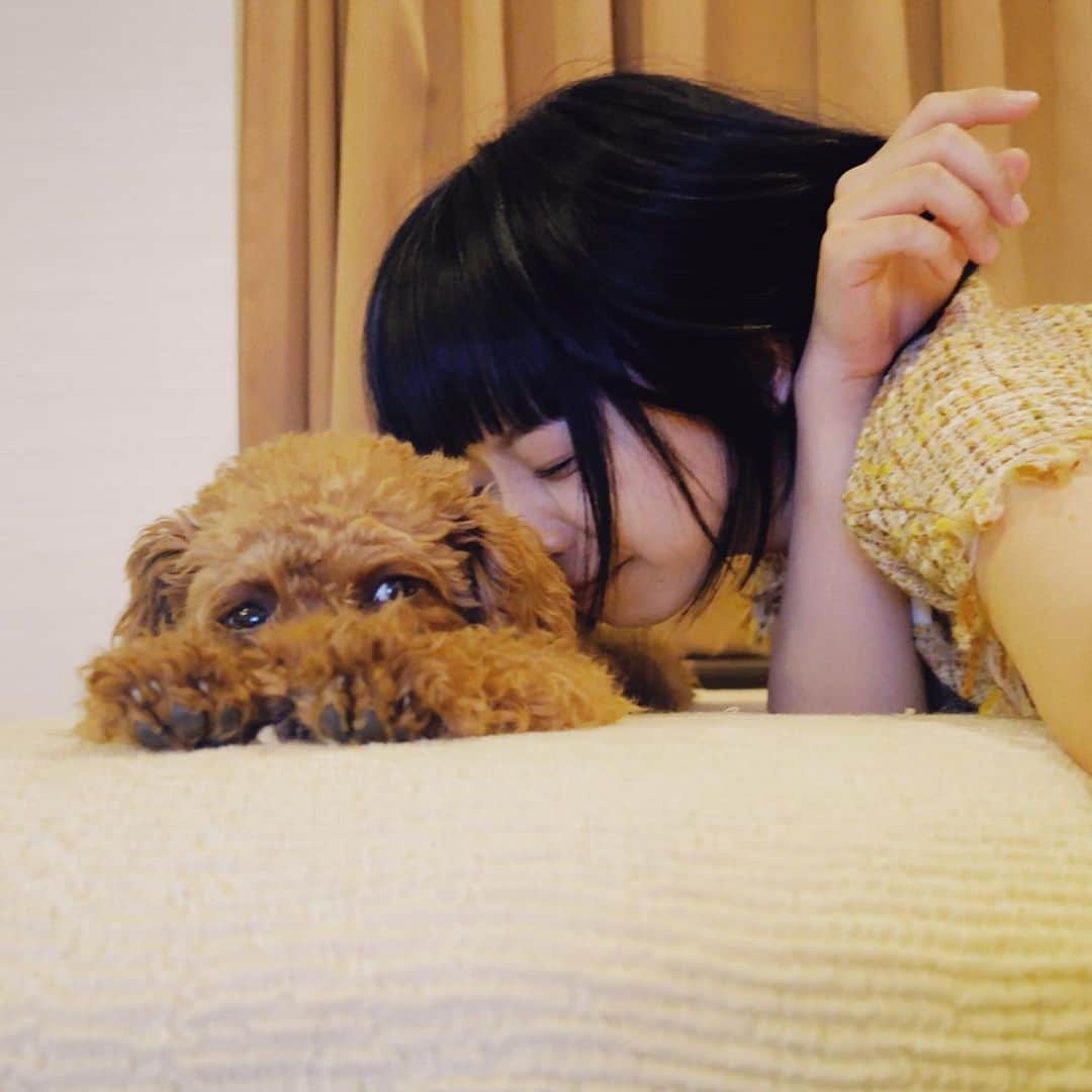 石川古都さんのインスタグラム写真 - (石川古都Instagram)「🐶 うちのわんこ。 最強に可愛いです、天才ですほんと。」5月26日 20時53分 - kotoishikawa_official