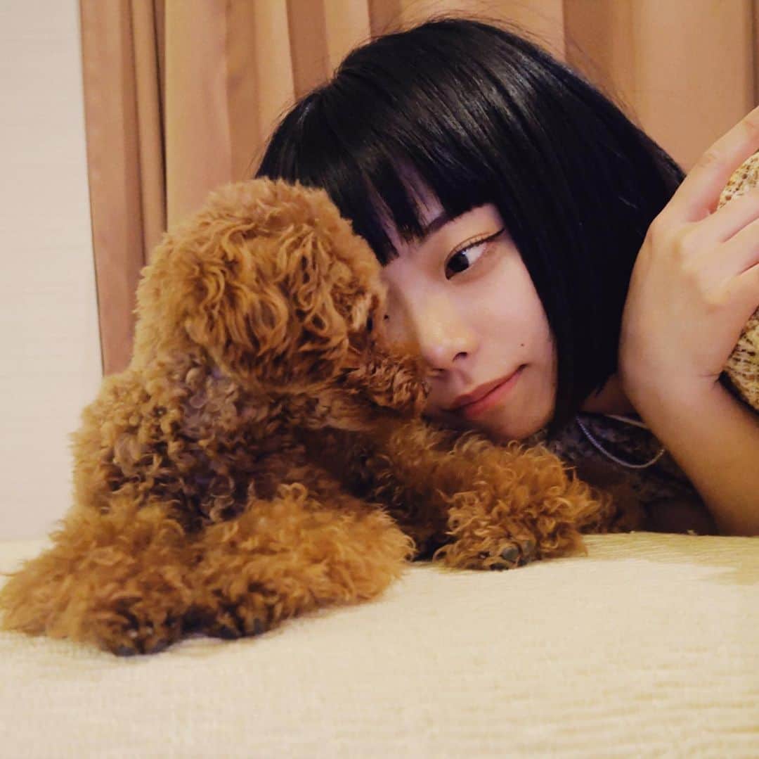 石川古都さんのインスタグラム写真 - (石川古都Instagram)「🐶 うちのわんこ。 最強に可愛いです、天才ですほんと。」5月26日 20時53分 - kotoishikawa_official