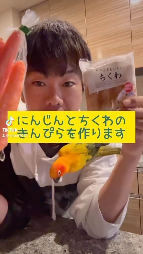のインスタグラム：「. てぃっくとっくだけでは勿体無いので...。 🐥かわいーんだな🫡✨🍚 にんじん炒めはPANAお気に入りメシです。  #料理 #PANA #善 #鳥と芸人 #インコ #cooking #クッキング #ごはん #レシピ #和食」
