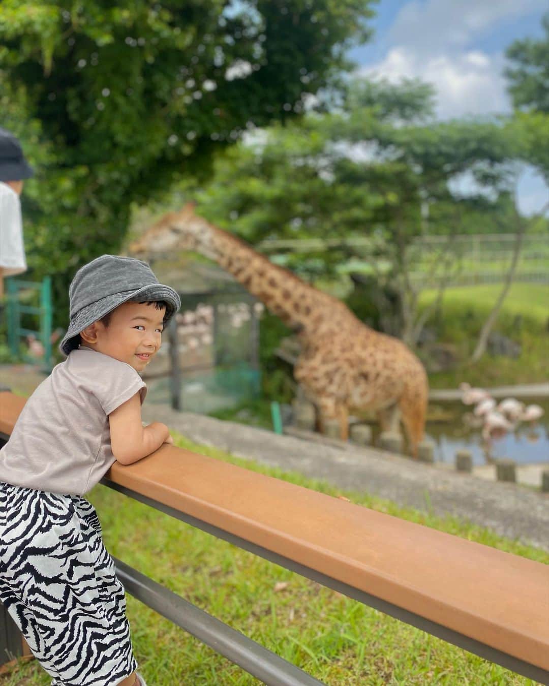鬼辻麻衣のインスタグラム：「🦒  いつ行っても見応えのある平川動物園。 久しぶりの動物園にケイも楽しそうやった☺️  今回はマントヒヒの生態が1番気になって 滞在時間1番長かったな🐒 また行くの楽しみ🌿」