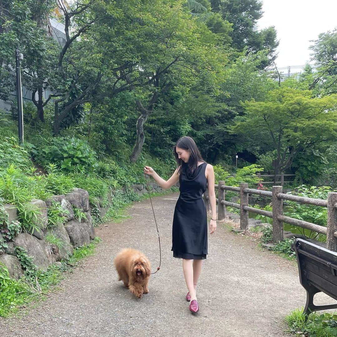 フェン・シャーニィーのインスタグラム：「today I got a new HAIRCUT and took this little karaage for a walk 🐶  からあげみたいなドッグのお散歩☺️ トリミングもしてもらった✂️」