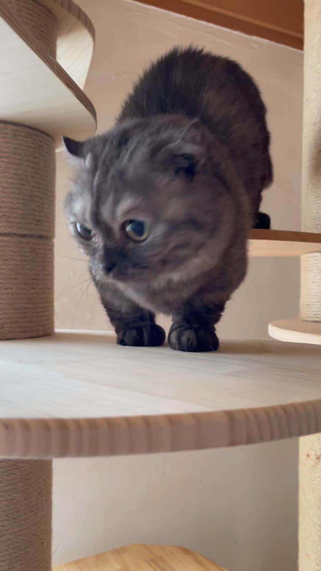 kamunaのインスタグラム