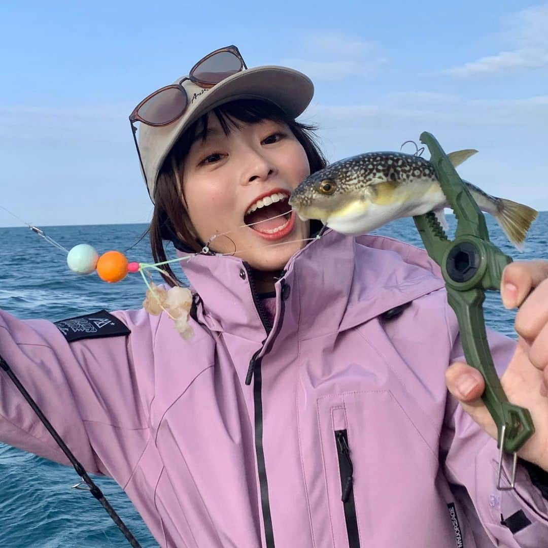 高本采実さんのインスタグラム写真 - (高本采実Instagram)「🎣 4月頭、フグが食べたくて！！ みんな誘って初めてのフグ釣りへ！🐡  カットウ釣り初チャレンジ！！ 慣れないエサ釣り、最初はアカエビをつけるのにも苦戦(笑)  いつものルアーフィッシングとのアタリとは違う、エサを食べにきたフグを引っ掛ける手法。 これがまた楽しい！！！  タックルは、太刀魚ジギングロッドやタコロッドに、タイラバでも使うベイトリールを代用。 仕掛けだけ釣具店でオーナーの錘とカットウ仕掛けを購入！（そして新鮮なアカエビを市場で購入w） 初回にしてこれで十分な釣果が得られました✌︎  釣ったフグは釣り後すぐに捌いてくれるので、お家帰ってから調理が楽チン&美味しい！！！！ 次のフグ便シーズン、早く来ないかな🥹  そうそう！！今回、デカフグダービーの海蓮丸オリジナルステッカーをデザインさせていただきました！ また次回のデカフグダービー開催時に、 ステッカーを目指して海蓮丸フグ便に乗船してGETしてくださいね😆🎣  ⛴海蓮丸  @kairenmaru   ① rod：RISKY RISERVA510 reel：ENGETSU PREMIUM 151PG  ② rod：DORASUTE DSB-63MH reel：KOHGA IC 100P-RM  . . .  #カットウ釣り #フグ釣り #デカフグダービー  #海蓮丸 #明石 #ショウサイフグ #ホシフグ #フグ顔 #fugu #エサ釣り #釣果 #釣り好き #釣りガール #大物ハンター #アングラー #fishinggirl #钓鱼 #高本采実 #あやみん #ayamistagram」5月26日 22時32分 - ayami__summer