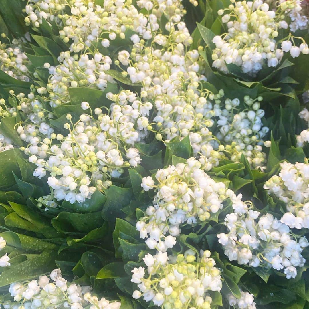 板谷由夏 さんのインスタグラム写真 - (板谷由夏 Instagram)「美しいウィーン 花も絵画も建物も1800年代のレースも。 美しいって心動く。 動く心を持ちたい。」5月26日 23時10分 - yukaitaya