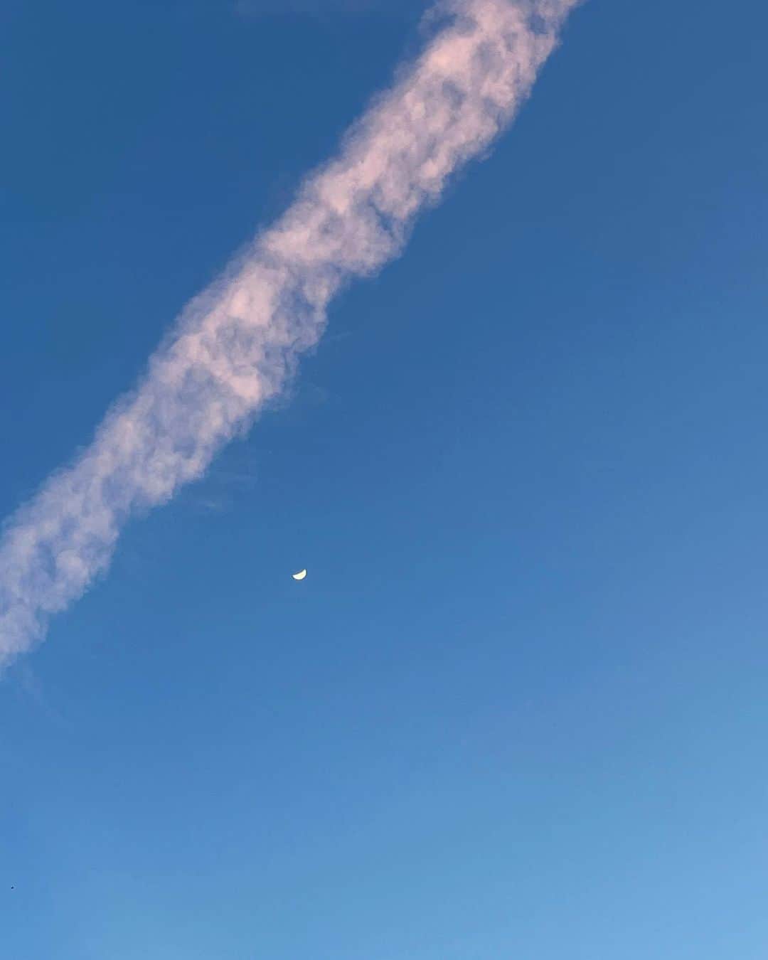 エルキーのインスタグラム：「💙☁️☀️」