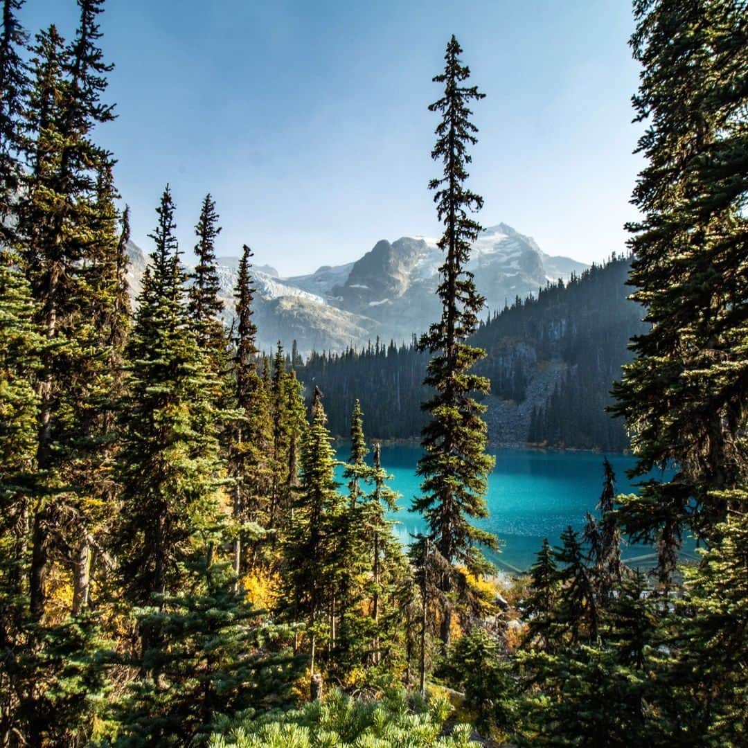Canon UKさんのインスタグラム写真 - (Canon UKInstagram)「Check out this incredible shot of Joffre Lakes in British Columbia, Canada.  The area is full of jagged peaks, turquoise lakes and icefields which make for the perfect landscape photography spot.  📷 @chloeneilsonphotography  Camera: EOS 90D Lens: EF-S10-18mm f/4.5-5.6 IS STM Shutter Speed: 1/30 , Aperture: f/19 , ISO100  #canonuk #mycanon #canon_photography #liveforthestory」5月26日 23時30分 - canonuk