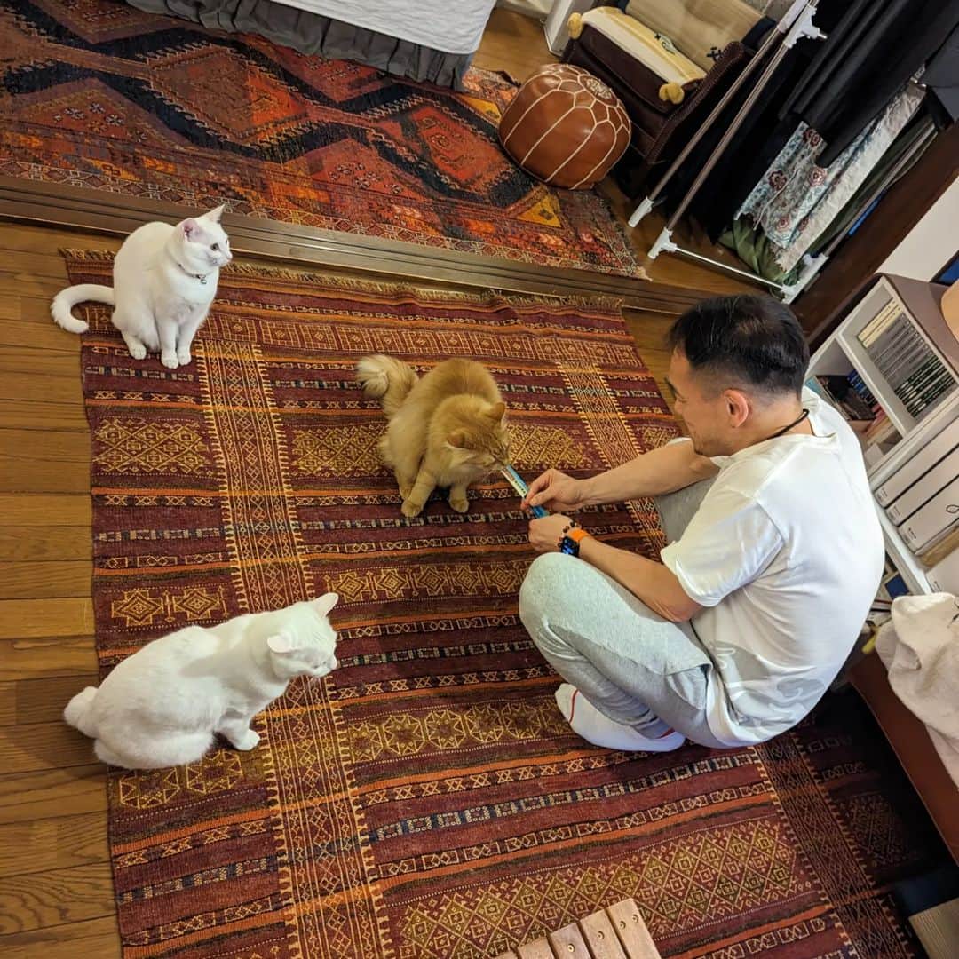 岡田屋鉄蔵のインスタグラム：「本日のトレーナーさん。 もてもてですね。」