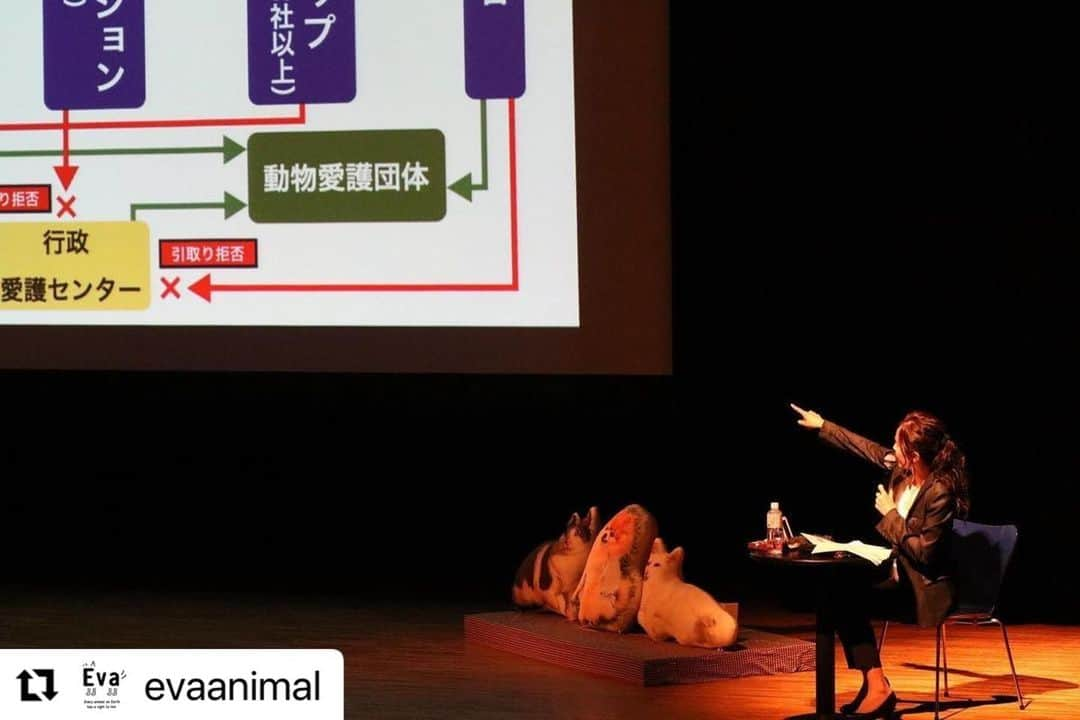 杉本彩さんのインスタグラム写真 - (杉本彩Instagram)「#Repost @evaanimal with @use.repost ・・・ 5月20日、Evaは、宮城県にて「にゃっ展・人と動物がしあわせに共生できる社会を目指す実行委員会」さん主催の「にゃっ展2023」の動物愛護講演会に参加いたしました。新型コロナの感染拡大の影響で延期が続き3年越しの参加です。 当日は、会場にてさまざまな作家さんの作品販売やこだわり食材のマルシェ、保護猫の譲渡会も開催され大変賑やかなイベントとなりました。  講演会では、全国で起きている動物問題、お金儲けのために動物の健康を損ない殺傷行為もいとわない繁殖業者、そして繁殖させて多頭飼育崩壊をさせたり、衝動買いで飼育放棄する飼い主、そして憂さ晴らしや痛めつけることに喜びを感じる猟奇的な動物虐待事件についてお話ししてきました。 貴重なお休みの土曜日にお越しいただき講演を聞いてくださった皆様、どうもありがとうございました。 #にゃっ展 #にゃっ展2023 #宮城県 #宮城県七ヶ浜町  #動物福祉 #動物愛護講演 #動物環境福祉協会eva #杉本彩」5月27日 1時35分 - sugimoto_aya0719