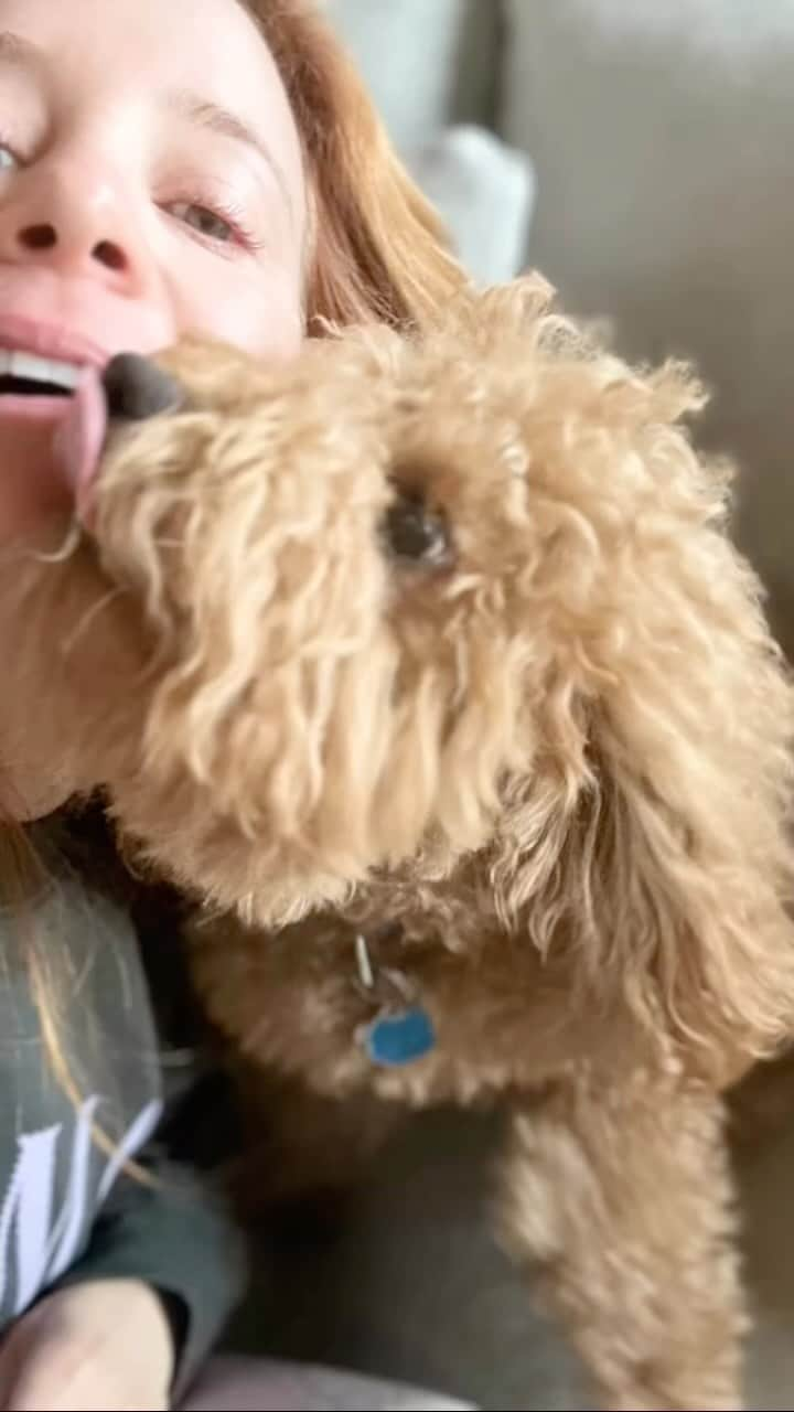 エイミー・デビッドソンのインスタグラム：「This kisssssss!! 👅 Did Clifford shrink?! No, this is Teddy and I’m in love. The NON-STOP kisses with this boy…🤣🐶」