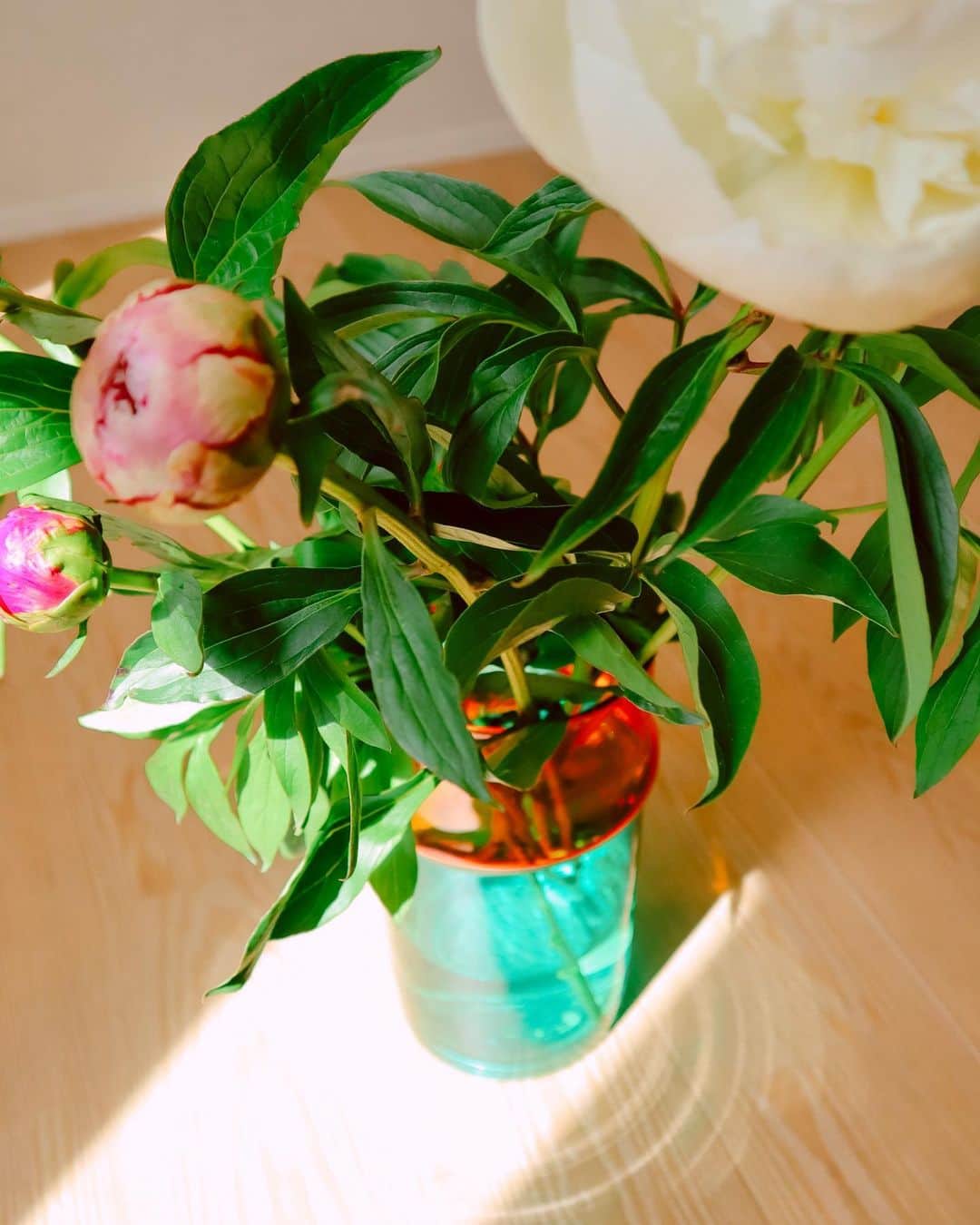 鮎川桃果のインスタグラム：「I like peony the most out of all the flowers. Kawaii♡  #peony #芍薬」