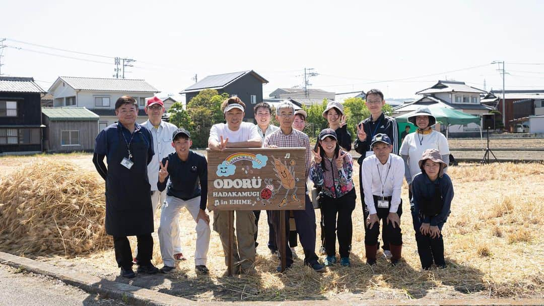 USAさんのインスタグラム写真 - (USAInstagram)「先日、愛媛県今治市で「はだか麦」の収穫イベントを行いました。  去年の11月に子どもたちと一緒に種まきし、今年1月に中村県知事や徳永市長と子どもたちと麦踏みをやり、すくすくと育った黄金色のはだか麦を収穫しました♪  愛媛県は「はだか麦」の生産量、36年連続全国ナンバーワン！  そんなはだか麦の豊作祝いをみんなと一緒にできて嬉しかったなぁ☆ 収穫イベントを行う度に、食べものがあることへの感謝の気持ちがさらに強くなっていきます！  今回収穫したはだか麦は8月末に味噌作りする予定です！  また楽しみが増えました♪  #odorüyasai #オドル野菜 #オドル野菜プロジェクト #愛媛県 #愛媛県町 #JAおちいばり #さいさいきて屋 ＃中村県知事  #今治市 #徳永市長  #生産量 #全国ナンバーワン#はだか麦. #odorühadakamugi #収穫 #収穫祭 #農業 #ダンス #融合 #自給自足 #dancearth #dancearthproject #smile #happy #ココロオドル #ChooChooTRAIN」5月27日 12時27分 - exileusa_danceearth