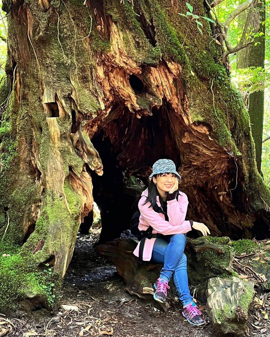 七瀬りりこさんのインスタグラム写真 - (七瀬りりこInstagram)「意外と山登りとかしちゃうタイプです🌳  #11時間トレッキングやっちゃうタイプ #トレッキング #山登り #登山 #虫は苦手　だけど #毛虫間違えて触ったり #ヒルに噛まれたりしたことある #恐怖 #屋久島 #杉」5月27日 13時04分 - ririkonanase