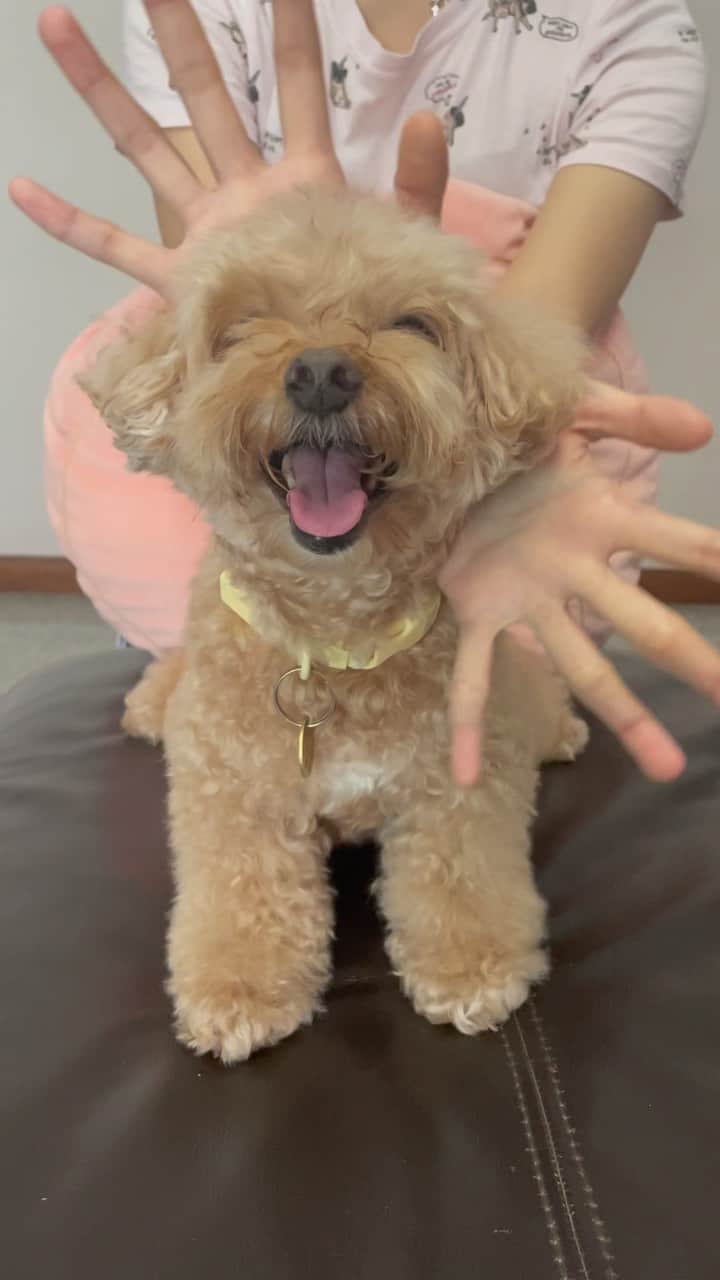 Truffle??松露?トリュフのインスタグラム：「📅(27May23) Finally jumping on the bandwagon to do the flower challenge! 🌸 Looking forward to the next time @blackpinkofficial ‘s back in SG!!! 🖤💗」