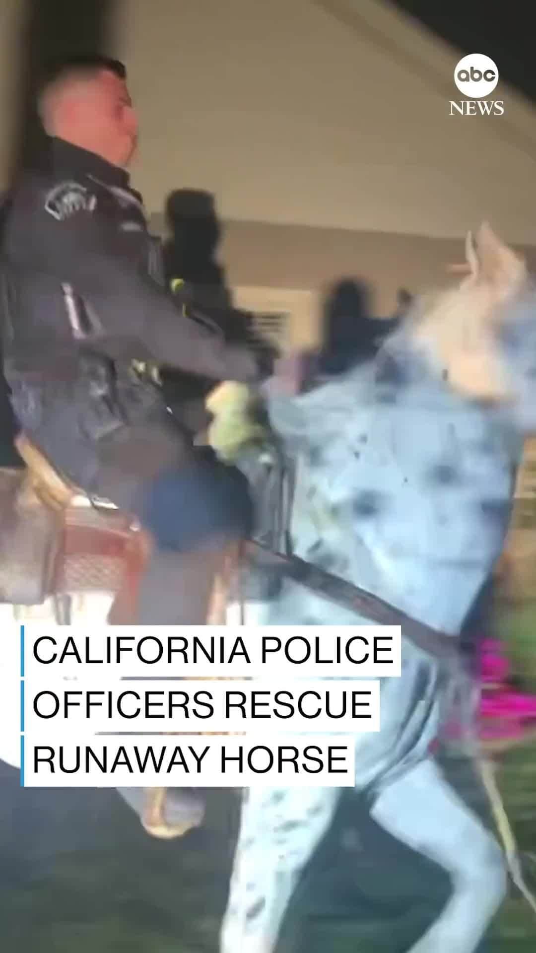 ABC Newsのインスタグラム：「A police officer in Burbank, California, utilized his horseback riding skills when rescuing and reuniting a runaway horse with its owner.  The horse, Oreo, had gotten spooked and run off during a midnight ride.」