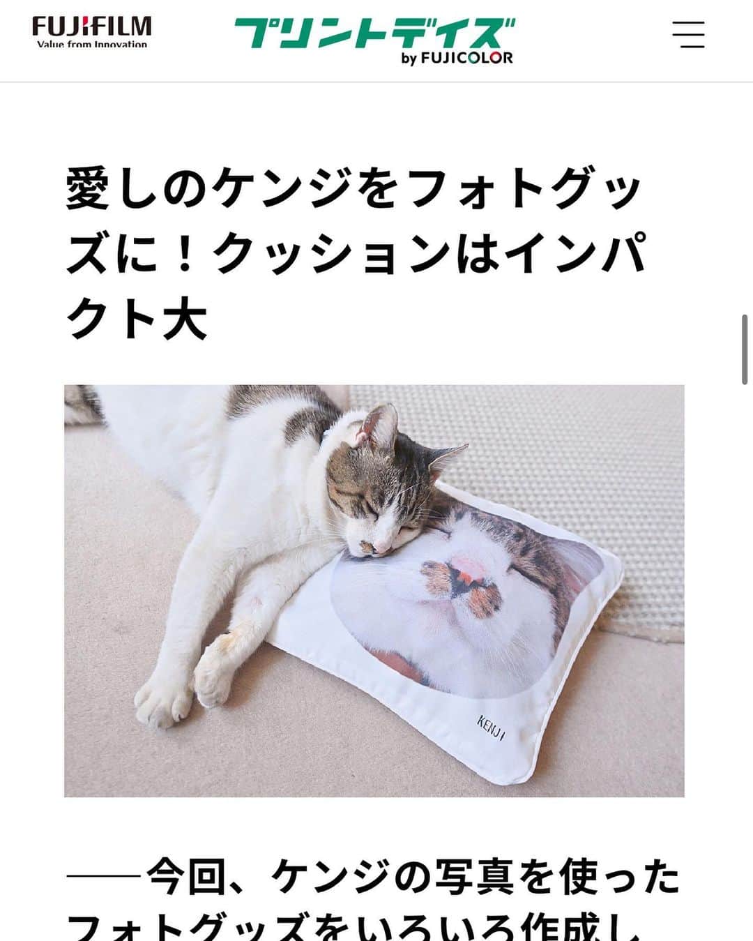 土肥美帆さんのインスタグラム写真 - (土肥美帆Instagram)「😻 ☀︎ 富士フイルムの『プリントデイズ』というサイトでケンジのこと、そしてグッズ作りのコツや私のグッズに込める思いなんかをまとめていただきました。  ネコのクッションは サイトの猫型テンプレートにケンジの顔をはめ込んだだけで簡単にできました✨  こちらもストーリーズにURL貼っておきますので、 ぜひご覧ください。  今日もご機嫌な1日をだべや (=-ω-=)🍀  🐟　　　　　　　　　　　　　　　　🐟 気ままなボス猫『ケンジ』 ～ 猫フォトの撮り方・魅せ方教えるべや ～ フジフイルム スクエア 企画写真展 2023年5月26日（金）～6月8日（木） 🐟　　　　　　　　　　　　　　　　　🐟  #ケンジ展 #気ままなボス猫ケンジ #デカ猫  #ボス猫 #みんなケンジを好きになる #いつも心にケンジを #推しのいる生活 #猫　#ねこ⠀ #猫好きな人と繋がりたい　#猫のいる生活⠀ #にゃんすたぐらむ　#東京カメラ部⠀ #instagramcat #nekoclub⠀ #ふわもこ部　#catsofinstagram⠀ #tea_journals #cats #instagramcats⠀ #catstagram #ig_japan⠀ #instagramjapan #catphotography」5月27日 5時30分 - big_face_cat_kenji