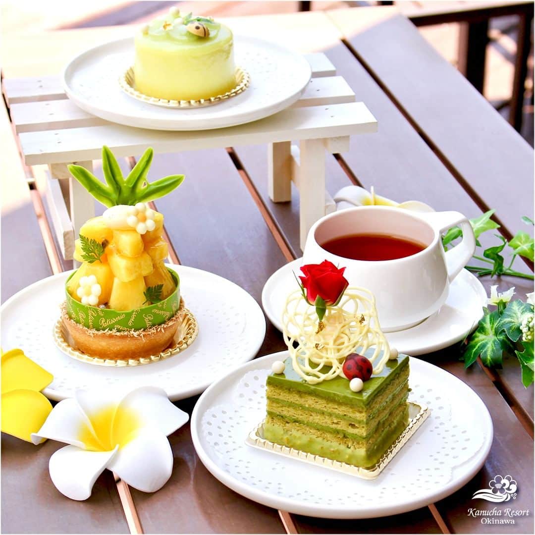 カヌチャリゾートのインスタグラム：「初夏を味わう季節限定スイーツ🍰  5月〜8月の期間限定で楽しめる、 初夏の限定スイーツが登場しました♪  ふわふわで香ばしいピスタチオ風味の生地と 抹茶のハーモニーが絶妙な「Green」 旬のパイナップルをたっぷり味わえる「季節のタルト」を パラディとファミーゴにてご用意しております。  6月からは、クリームチーズとマスカットジュレの 上品な甘さを堪能できる「SHINE」が登場予定✨  初夏のみずみずしい新緑をイメージした、 カヌチャのパティシェ自慢のスイーツたち。 ぜひ味わってみてくださいね！  #カヌチャリゾート　#カヌチャ　#スイーツ　#ケーキ #沖縄リゾート　#南国リゾート　#期間限定スイーツ #県民プラン　#カップルプラン　#デートプラン」