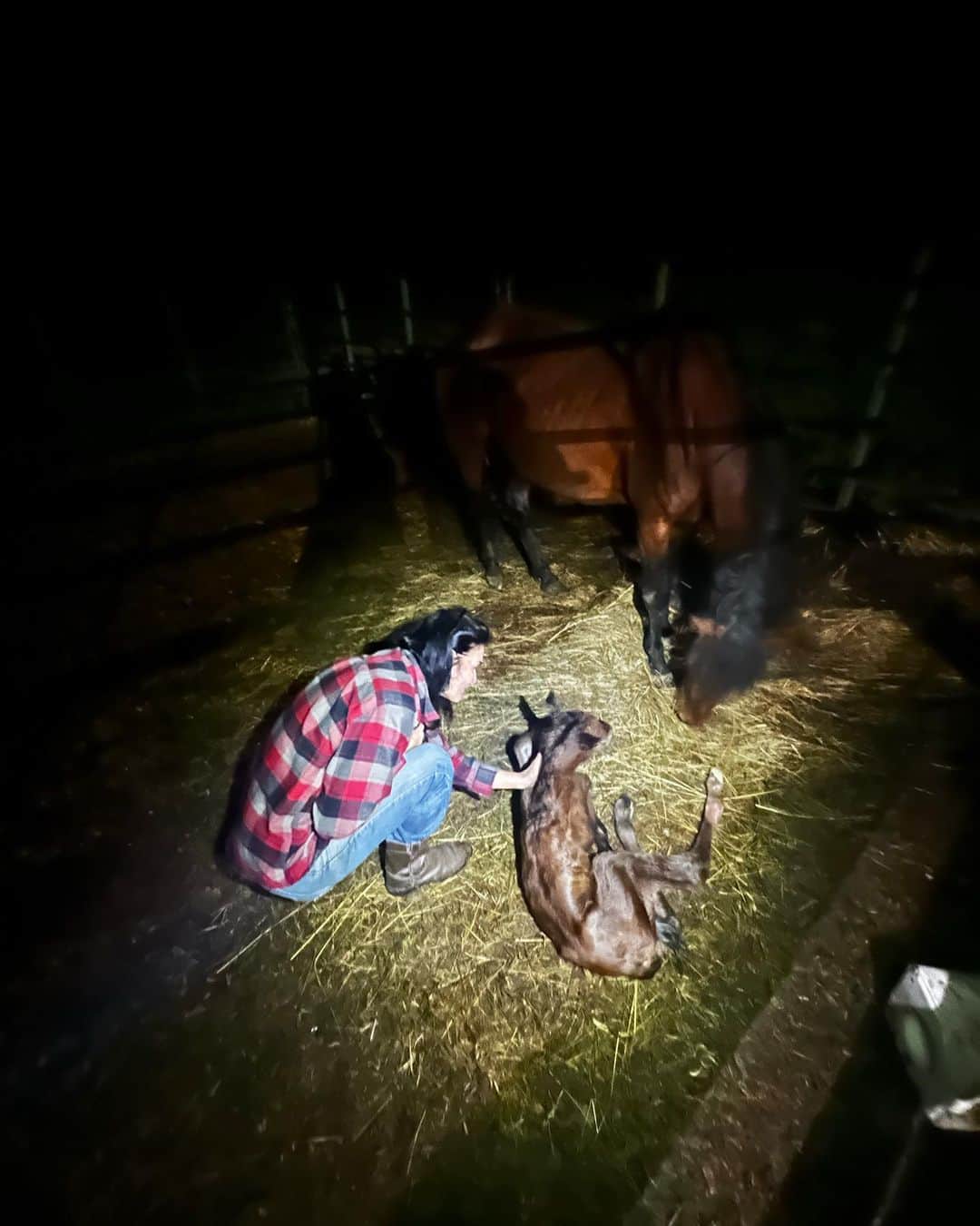 アンジー・ハーモンのインスタグラム：「Happy FRIYAY!!! He’s here!!! 🤠🐴❤️🥰  #blessed #grateful #newbaby #itsaboy」