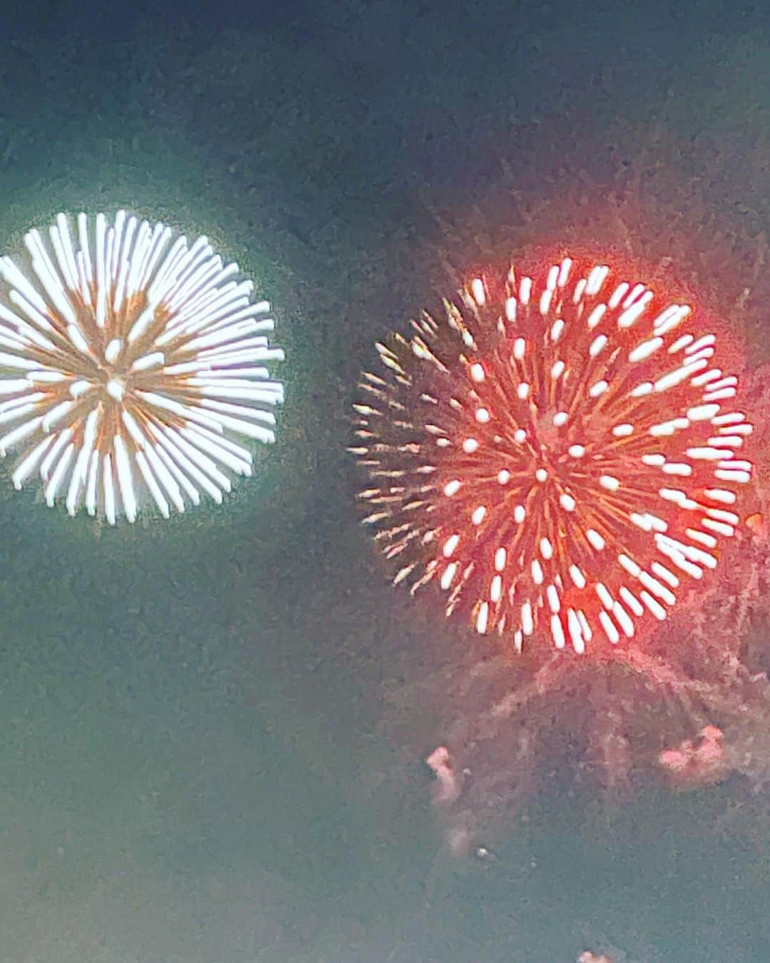 高木完のインスタグラム：「#zushifireworks  #oceanszushisup」
