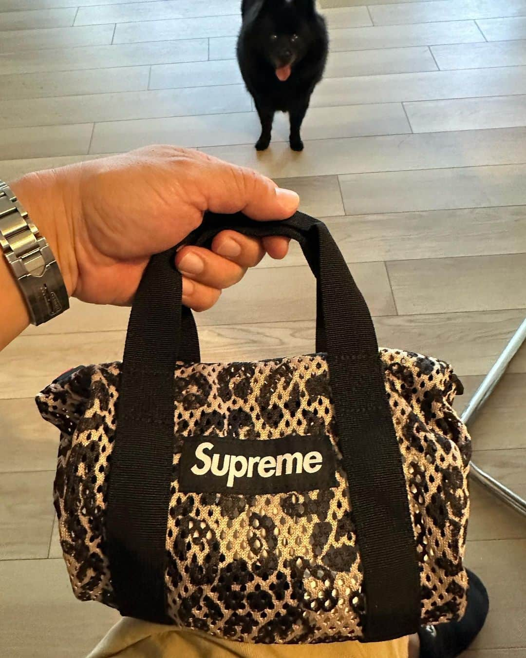 熊谷隆志さんのインスタグラム写真 - (熊谷隆志Instagram)「可愛すぎ。 毎日これにしよ。  @supremenewyork」5月27日 8時28分 - takashikumagai_official