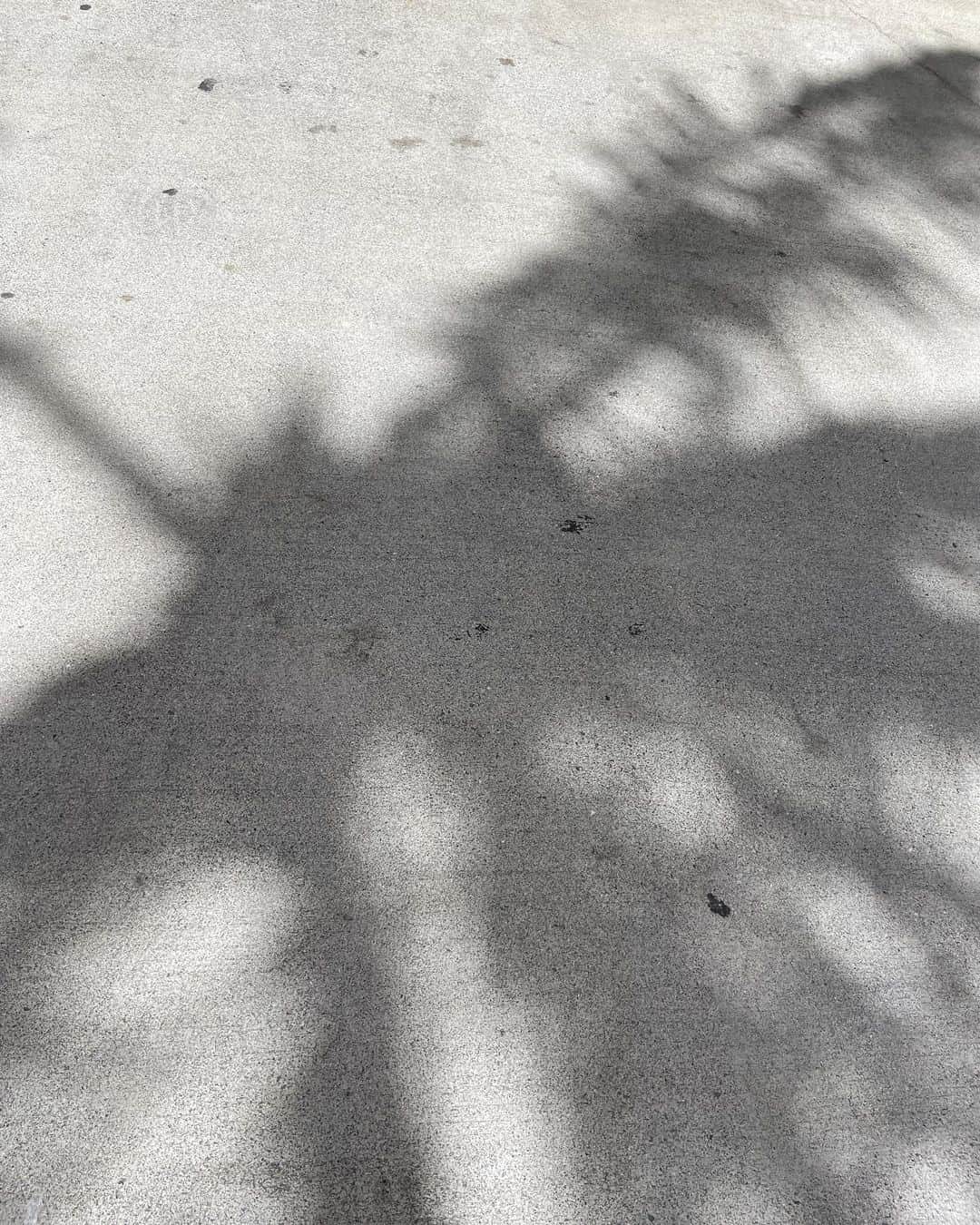 岡田美季さんのインスタグラム写真 - (岡田美季Instagram)「いちばん着やすいShoulder Frill🤎 バックスタイルがかわいい。 to goしてゆっくりビーチでlunchがスキ。 ハワイでパラソル使ってる記憶がなかったけどこの時期は持っていったら便利だったな🏖 日陰になる場所を探しながらゆっくり。 毎回旅行でも大活躍のワンピースはGeorgette Long One-piece。 何年も飽きる事なく着てるいちばん楽な気がするワンピース🫶 #hawaii #trip #waikiki #room306contemporary」5月27日 14時10分 - mikiokada0225
