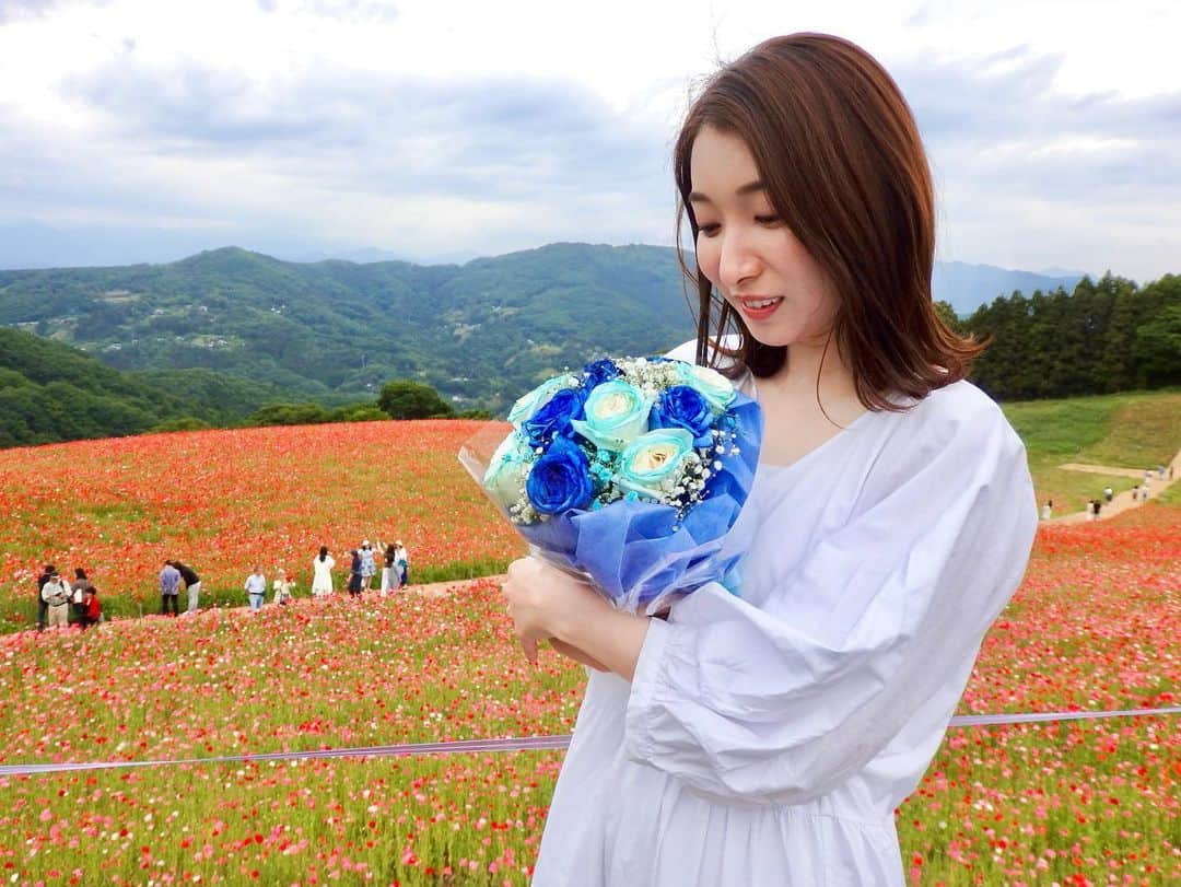 山田桃子のインスタグラム：「天空のポピー .  天空のポピーに、 青い薔薇も連れていきました♡  見るだけで元気になれる 明るい色のポピー。  花言葉は、 「思いやり」「慰め」「いたわり」 「陽気で優しい」「恋の予感」など。 とにかく優しさに溢れていますね💓  ちなみに、 青い薔薇の花言葉は、 「奇跡」「夢かなう」。  夢が叶いますように...！  . #天空のポピー  #東秩父村 #皆野町 #お花畑 #青い薔薇  #白ワンピース  #フリーアナウンサー #山田桃子」