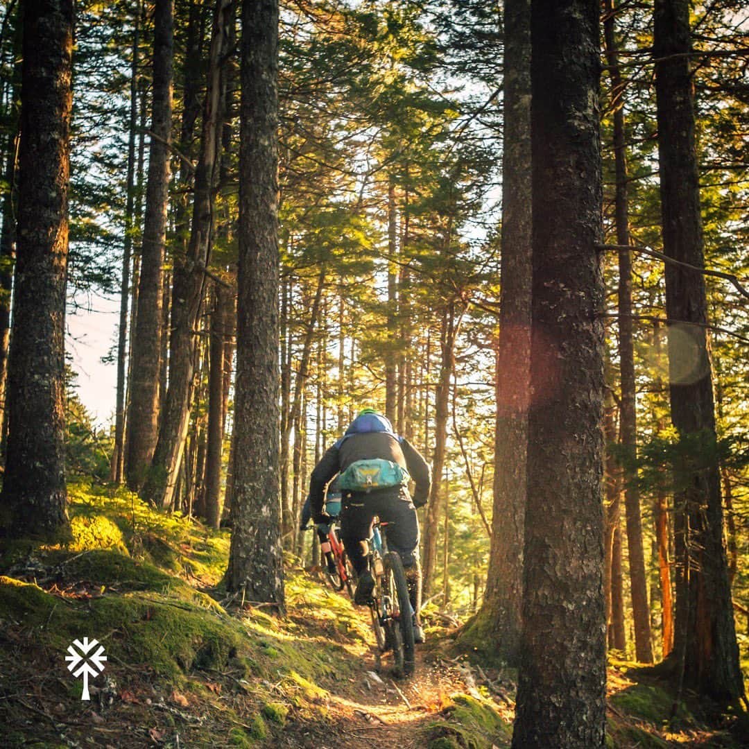 PicLab™ Sayingsさんのインスタグラム写真 - (PicLab™ SayingsInstagram)「If there were ever a time to pick up mountain biking as a hobby, that time is now. 🚴 ⏰ Check out our new story at the link in our bio for more information on the best mountain biking trips from California to Canada. From a trip for the entire family to a trip that is perfect for the daredevil in your life, we’ve found something for everyone.」5月27日 8時51分 - paradise