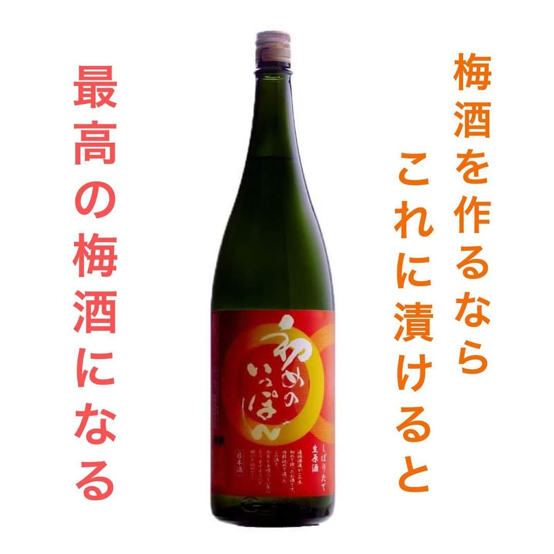 通潤酒造株式会社のインスタグラム：「梅酒をつくるなら、これがお勧めです！  【初めのいっぽん】  梅しごとの時期になりましたね！ 通潤の梅の木にも実がなってます。 が！今年は少し小ぶりの実が多いような。。 今年はここ辺りは裏年の木が多いです🥲  梅酒キットも販売中ですが、 【初めのいっぽん】のみの購入も出来ます！ 是非、今年は日本酒で梅酒をつくりませんか？  ※720ミリは完売致しました。  ◾️商品情報 初めのいっぽん 1800ml アルコール度数 20度 2750円（税込）  在庫数量わずか！お早めにご注文ください。  ご注文はストーリーズよりどうぞ！  ‣‣……………………………………………‣‣  通潤酒造公式アカウントでは、 皆様の投稿をいつも楽しく拝見しております。 〖#通潤酒造 〗や〖#通潤 〗のハッシュタグをつけて投稿していただけると嬉しいです。  お酒の感想や、通潤酒造へご来店いただいた感想、通潤酒造の酒の目撃情報など！お待ちしております。  #通潤酒造 #通潤 #熊本カフェ #熊本 #ilovekumamoto #日本美酒 #japanlife #sakagura #japanisesake #ランチメニュー #梅酒 #梅ジュース #季節のてしごと」