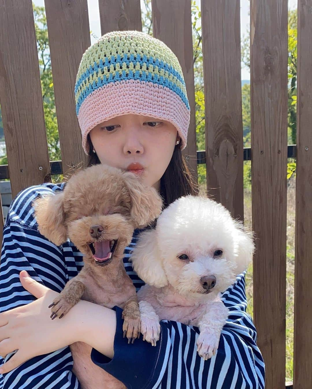 チョン・ユネ さんのインスタグラム写真 - (チョン・ユネ Instagram)「🐶🐾💖#내사랑들」5月27日 9時44分 - yoonhye.chung