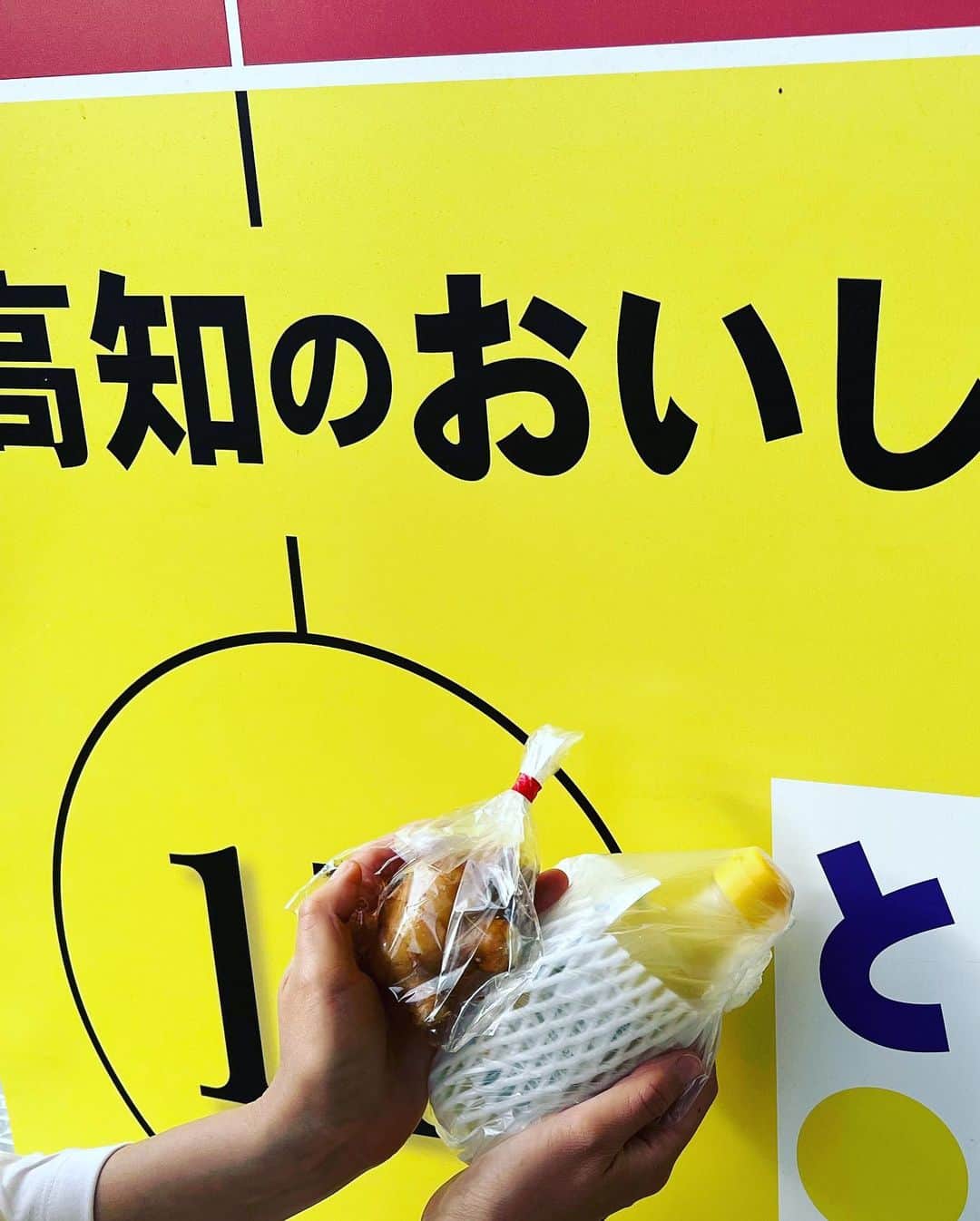 木内晶子さんのインスタグラム写真 - (木内晶子Instagram)「香川県産のこんぴらにんにくはしっかりにんにくの香り、お味がして食べた瞬間から元気になるぐらい大変美味しく頂きました✨お家では今年はお醤油に漬けてみました。ポン酢もオススメです。新橋駅に行ったらせとうち旬祭館で香川県産のオリーブそうめんも是非食べて頂きたい！そのまま麺つゆでもいいですが冷やしトマトパスタのアレンジも美味しかったです。にんにく、トマト、バジルに塩とレモンやビネガーをお好みで✨コシがありツルッともちもちこれからの時期にもぴったり👍愛媛県産の河内晩柑も甘くて美味しかったです😆有楽町駅から歩いても行けますが銀座1丁目駅が最寄りのまるごと高知にも行ってきました！生姜と柚子果汁を買いました。柚子に鰹をつけて高知で食べてからハマりかかせません。すごい、おいしいき！おいしいけん！東京にいらっしゃる方は是非　四国の物産館巡りをして見て下さい👍 #ぎゅっと四国 #四国物産館#香川県産オリーブ #オリーブそうめん #こんぴらにんにく #河内晩柑 #生姜#柚子」5月27日 10時24分 - akiko0902kinouchi