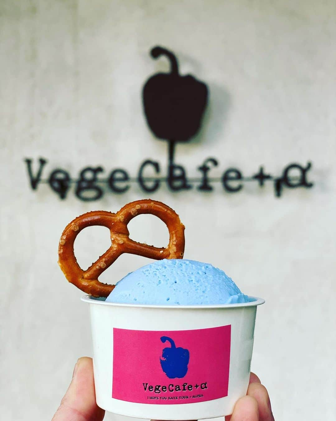 vegecafe＋αのインスタグラム：「オーガニックプレッツェル🍎  ジェラートのトッピングの 米粉のクッキーが オーガニックプレッツェルに 変わりました✨  カリッとした食感と塩味が ジェラートをひきたててくれます😋 砂糖、乳製品、卵など 動物性の食材は使用していません。  小麦をさけている方には 玄米ぽん菓子で ご対応させていただきます😊  #vegecafe#vegecafe_plus_α #新大阪グルメ #新大阪ランチ #新大阪カフェ #西中島グルメ #西中島南方グルメ #西中島グルメ #西中島南方ランチ #西中島ランチ#西中島南方カフェ #大阪ランチ #大阪カフェ巡り #野菜たっぷり #野菜たっぷりランチ#ベジカフェプラスアルファ #ベジカフェプラスアルファー #ジェラート屋さん #アイス部 #アレルギーっ子のおやつ #アレルギー対応 #veganfood」