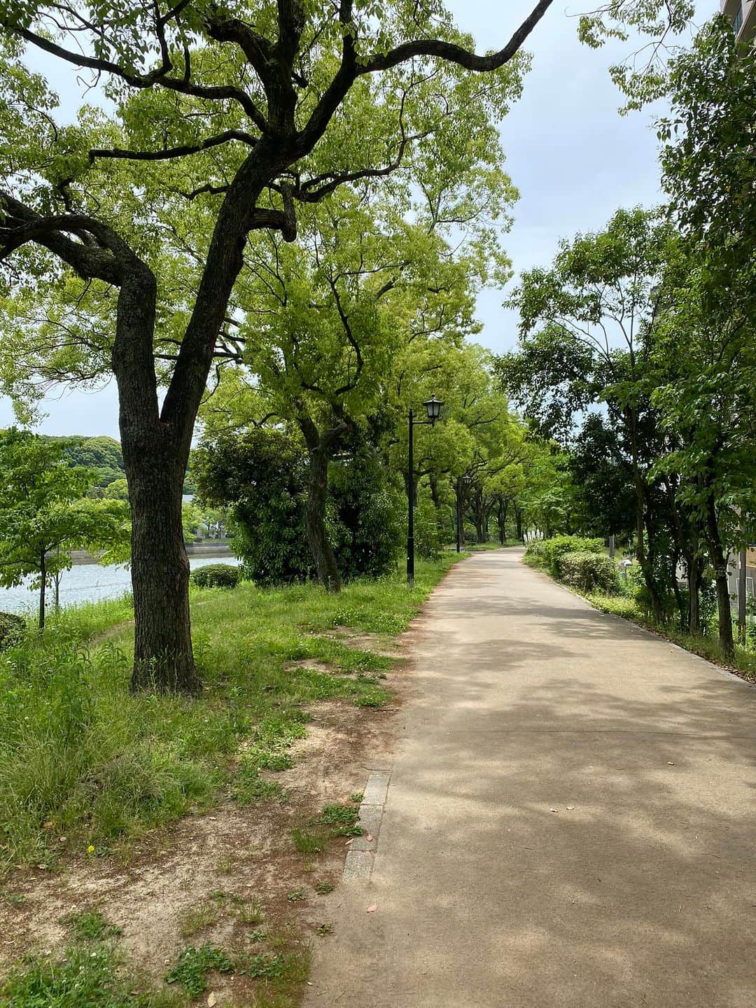 畑喜美夫さんのインスタグラム写真 - (畑喜美夫Instagram)「本日も「自分の歩いた後に道ができる」でワクワク楽しんでいきましょう‼️」5月27日 11時48分 - kimio.hata