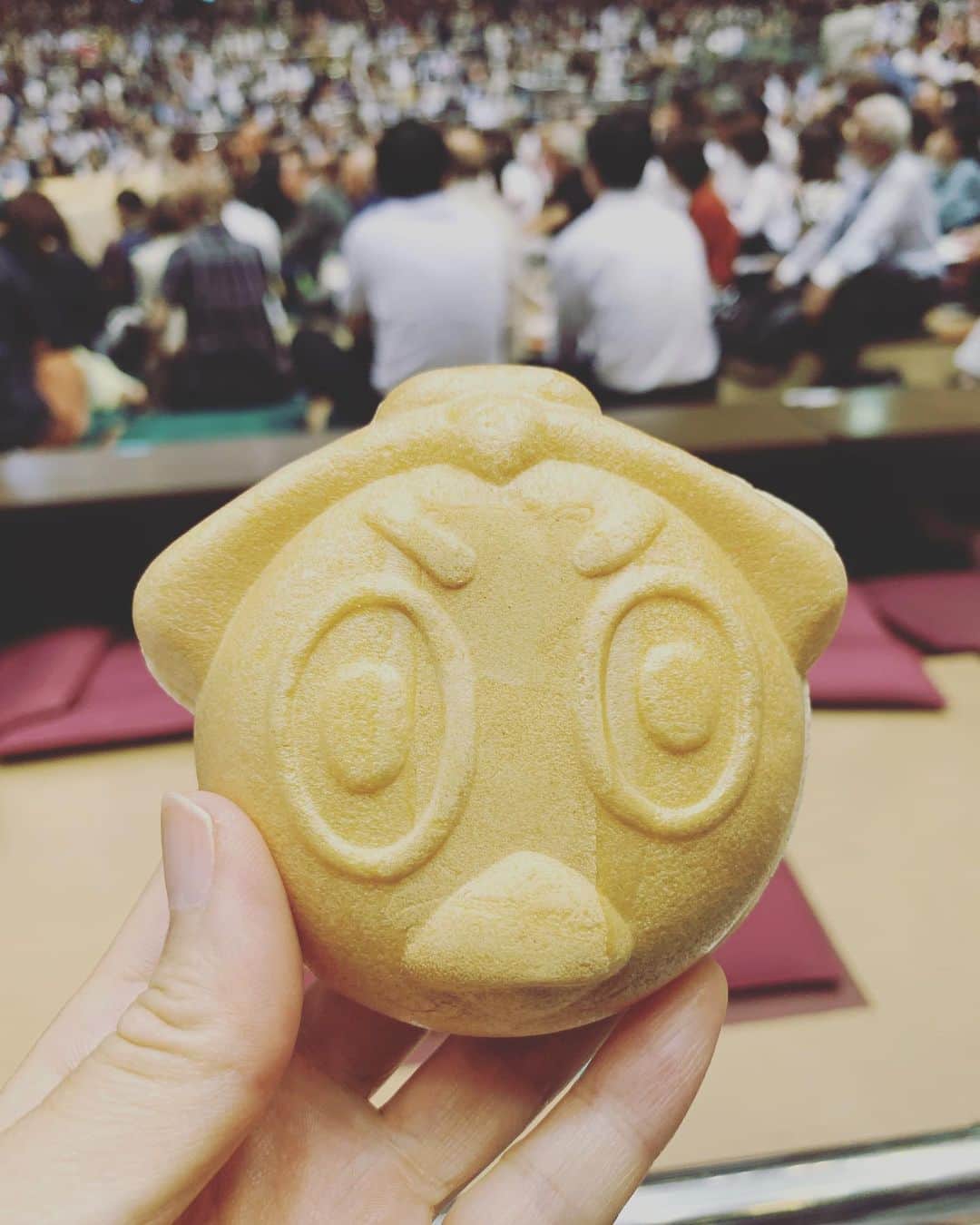 中江有里のインスタグラム：「2019年以来の国技館。  ひよちゃんアイス最中も買いました。  #中江有里」