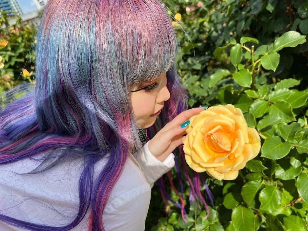 MANAさんのインスタグラム写真 - (MANAInstagram)「． 大好きな薔薇とお花に囲まれてきた🥀❤️ ･ ･ ･  #薔薇  #バラ園  #instamood #y2k」5月27日 22時07分 - __.princessbaby