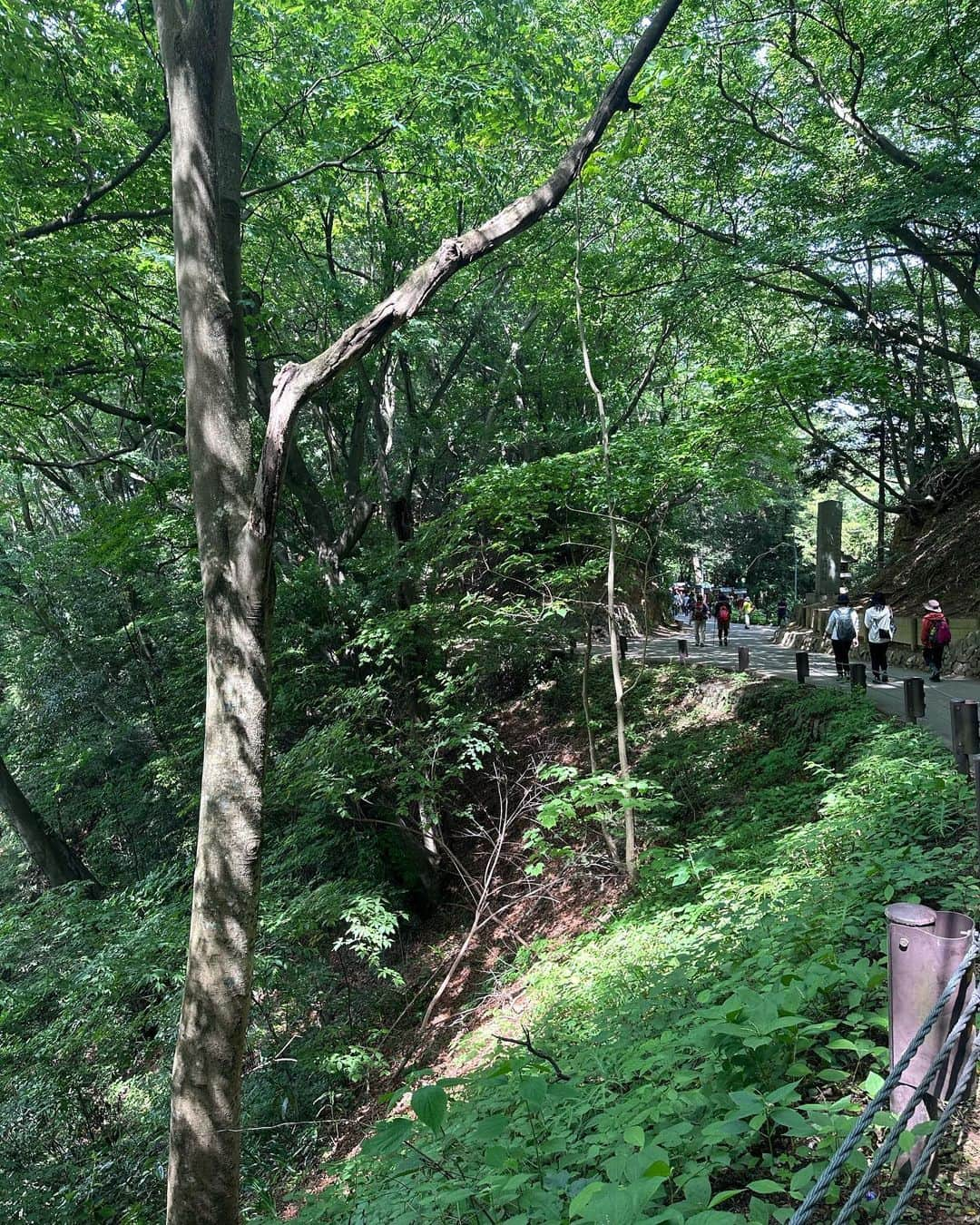 早川茉希さんのインスタグラム写真 - (早川茉希Instagram)「🏔🌞 子どもの頃、受験や大事な節目には 高尾山へ行っていて🙏 今回、初めて息子と訪れました☺️  お天気が良くて新緑が本当に綺麗！！🌿 秋の紅葉シーズンも良いけど この時期も良いなぁ😍✨  1歳児の息子とベビーカーで行ってみたら 薬王院までは多少階段があるくらいで ほとんど整備された道でした☺️ 初めてのケーブルカーは、真剣な眼差し👀 たくさんマイナスイオンを浴びて 気持ち良かったかな？👦🏻  手を繋いで歩けるようになったら また連れて行きたいな🥰 （今は脱走する🏃‍♀️）  #高尾山 #薬王院 #参拝 #ミシュラン三ツ星 #ハイキング #子連れお出かけ #子連れ高尾山 #子連れわんちゃん連れが沢山 #海外の人も沢山 #お煎餅もお蕎麦もカキ氷もお饅頭も食べた #休日満喫 #開運 #ひっぱり蛸 #🐙 #あやかりたい笑」5月27日 22時45分 - maki_hayakawa